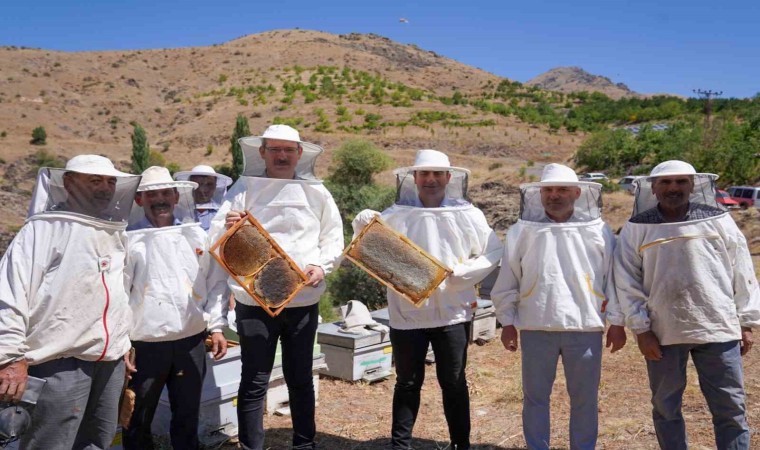 Adanada bal hasadı başladı