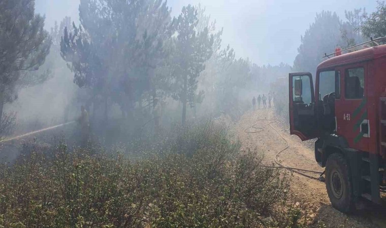 Afyonkarahisar Kırkada orman yangını