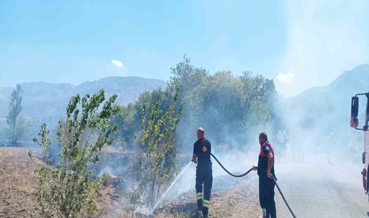 Ağaçlık alanda çıkan yangın itfaiye ekiplerinin müdahalesiyle söndürüldü