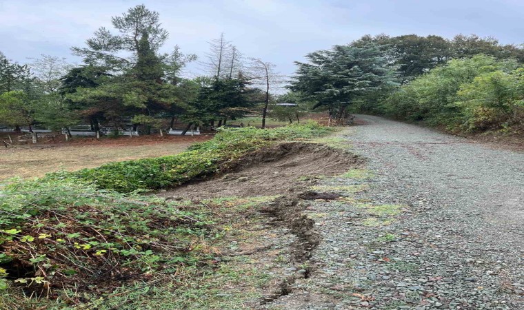 Alaçamda sağanak 10 mahallede zarara yol açtı