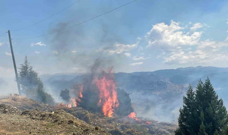 Alanyada makilik alanda çıkan yangın ormana sıçramadan söndürüldü