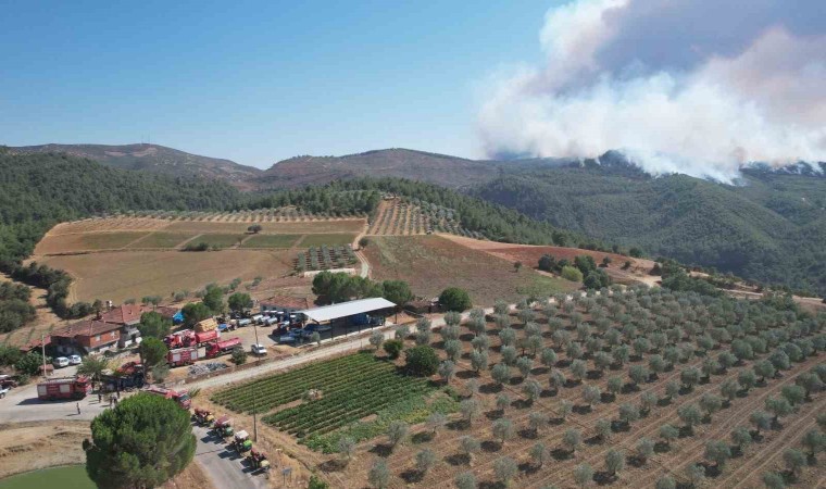 Alevlerin arasında kahramanca mücadele