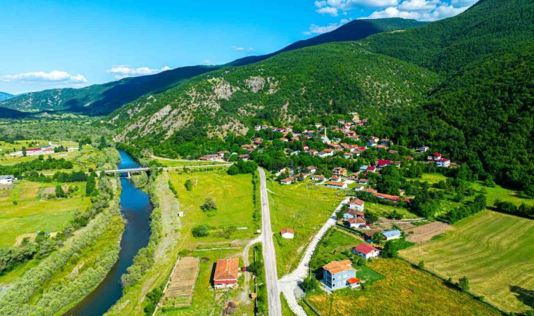 Almusun mutfak mirası: Gelenekten geleceğe tadına doyulmaz yöresel lezzetler