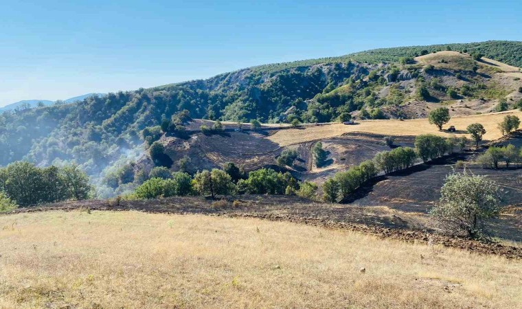 Amasyada anız yangını ormana sıçramadan söndürüldü