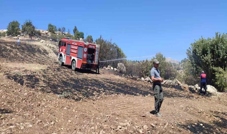 Anız yangını fıstık bahçelerine sıçradı