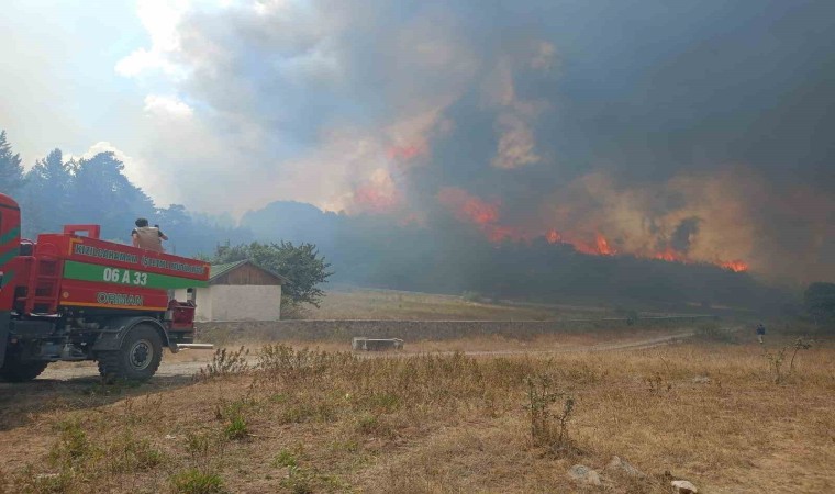 Ankara Kızılcahamamda ormanlık alanda yangın çıktı