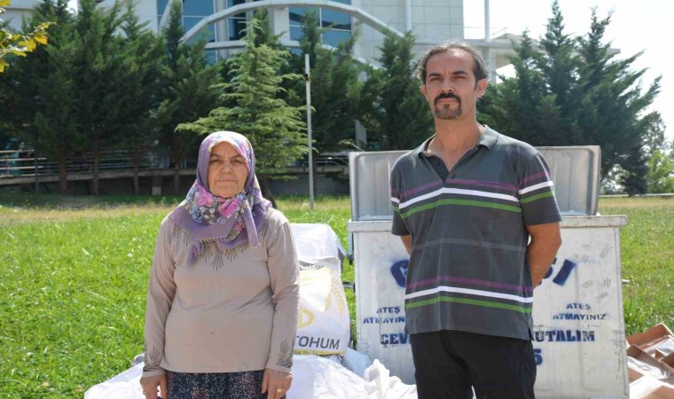 Ankarada başıboş köpekler sokakta oynayan 5 yaşındaki kıza saldırdı