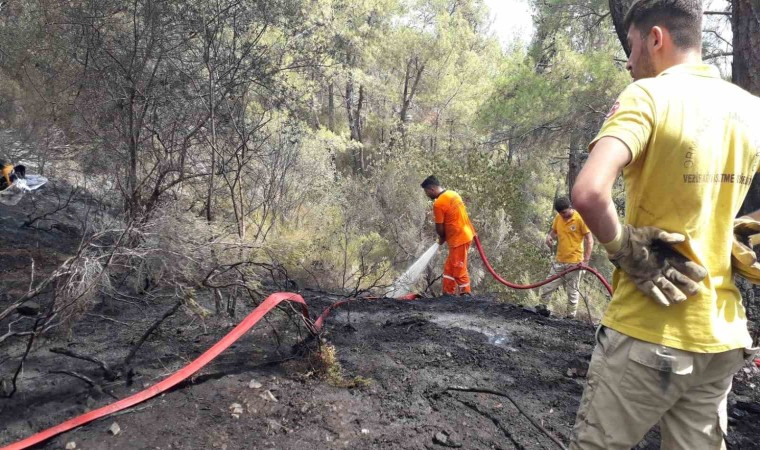 Antalya Kemerde çıkan orman yangını kontrol altına alındı