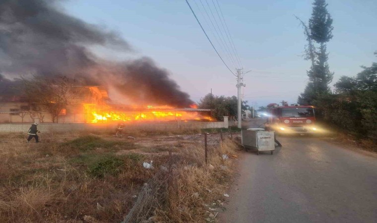 Antalyada koli karton fabrikasında korkutan yangın