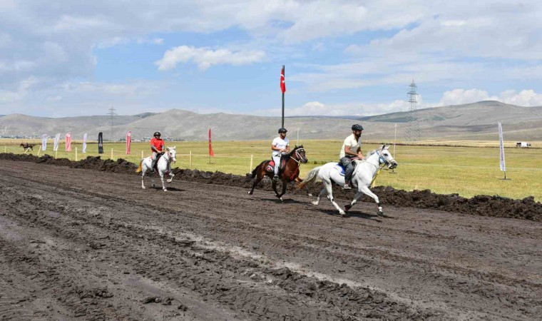 Ardahanda Rahvan Atları Yarışlarında final heyecanı