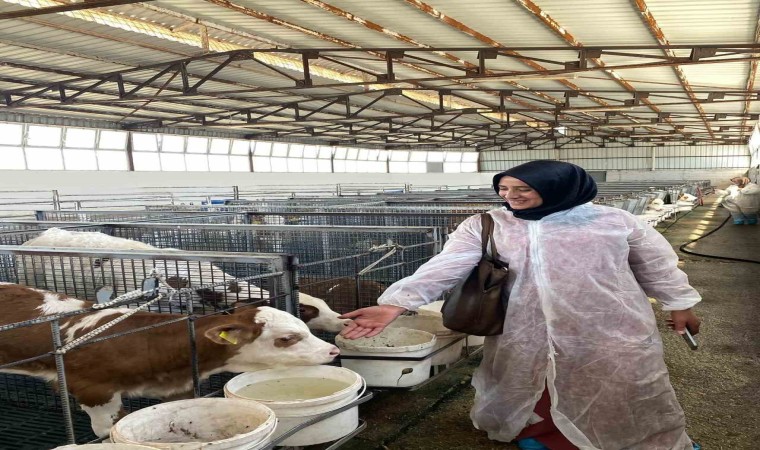 Ardahanlı süt üreticisi kadınlar Afyonkarahisarı ziyaret etti