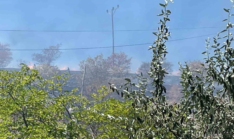 Arguvanda çıkan yangın meyve ağaçlarına zarar verdi