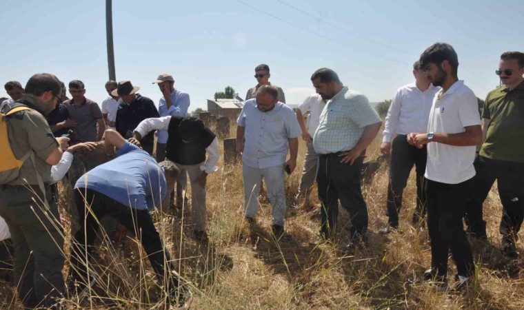 Arkeologlar Mollakentteki tarihi yerleri gezdi