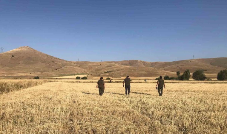 Av sezonunun başladığı Bayburtta avcılar denetlendi