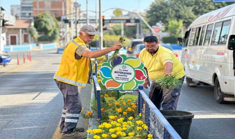 Aydın Büyükşehir Belediyesinden çevre bakımı seferberliği