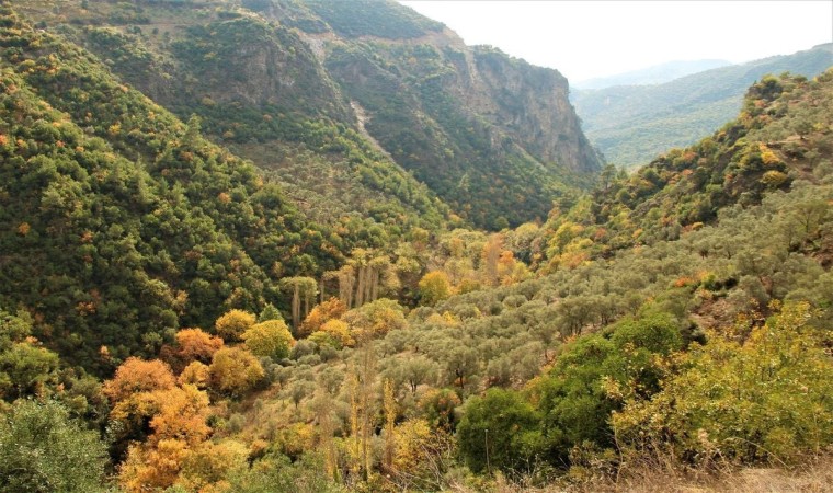 Aydının doğa harikası Koçak Kanyonu, özgün klimasıyla ilgi odağı olmaya devam ediyor