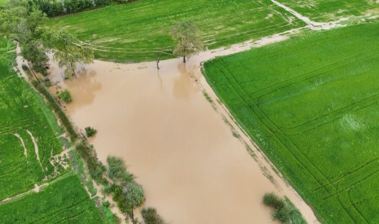 Bafra Ovasında tarım arazileri sular altında