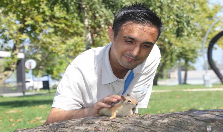 Bahçede bulduğu sincap en yakın arkadaşı oldu