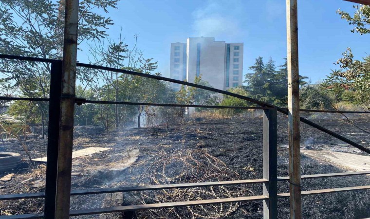 Bahçelievlerde otluk alanda yangın çıktı