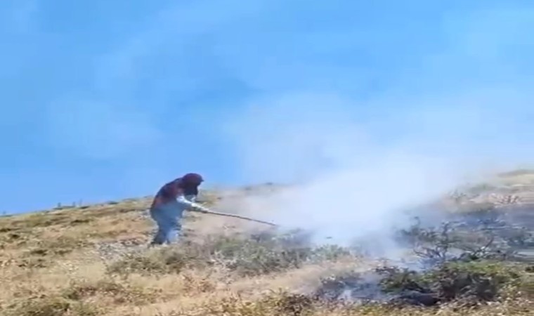 Bahçesarayda makilik alan yandı