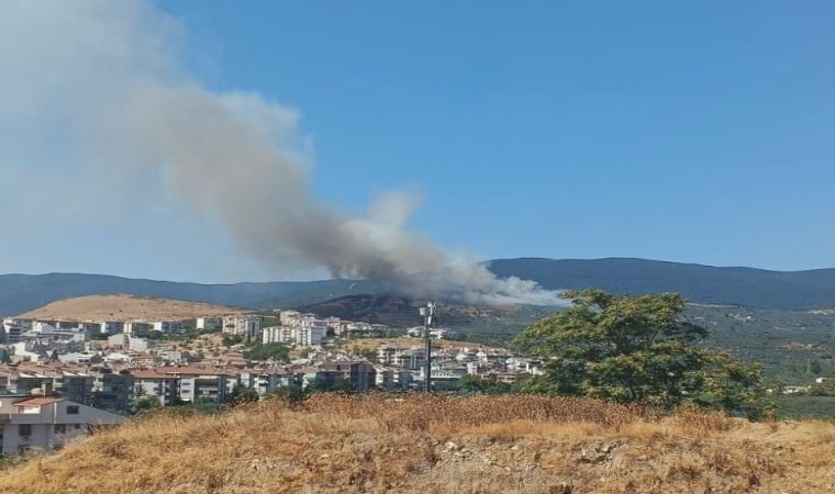 Balıkesirde orman yangını