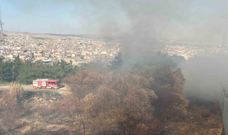 Balıkesirin Çamlık mevkiinde çıkan arazi yangını söndürüldü