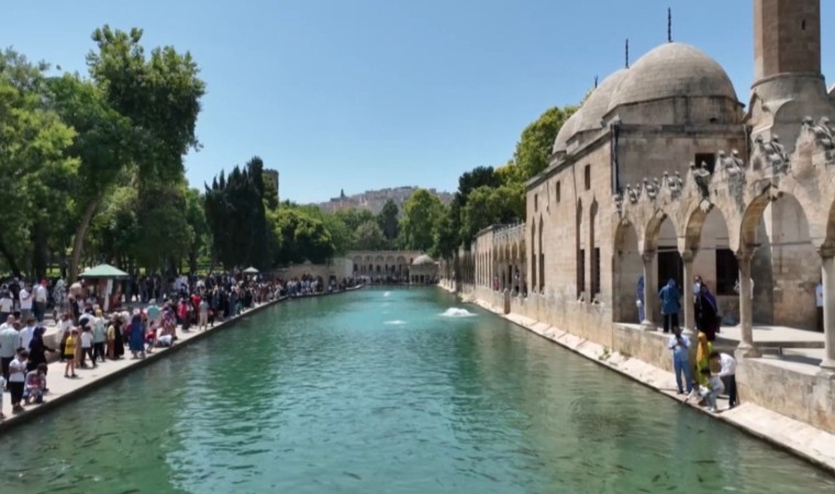 Balıklıgöle düşen çocuk kurtarıldı