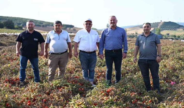 Başkan Karabatıdan çiftçiye destek