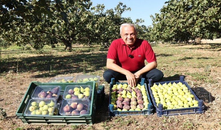 Başkan Şadi Özdemirden üreticilere ‘Kooperatif kurun çağrısı