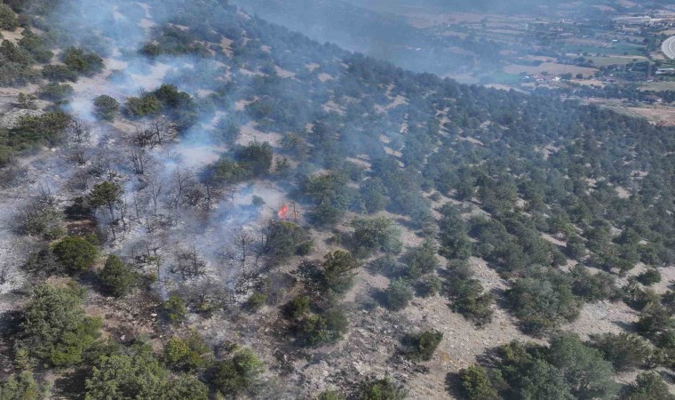 Başkan Ural, Piknik yapma işini erteleyelim