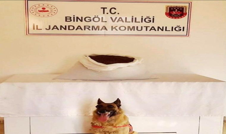 Bingölde 15 kilo uyuşturucu madde ele geçirildi