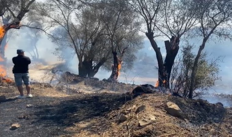 Bodrumdaki yangına müdahale sürüyor