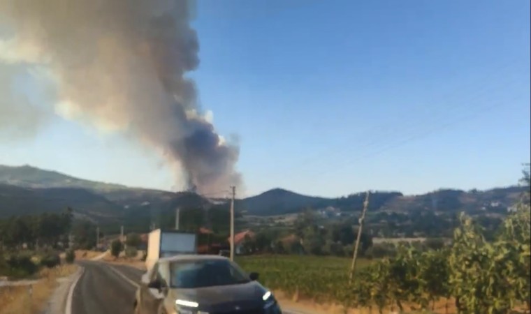 Bozdoğandaki orman yangını için Muğla sınırında önlem alındı