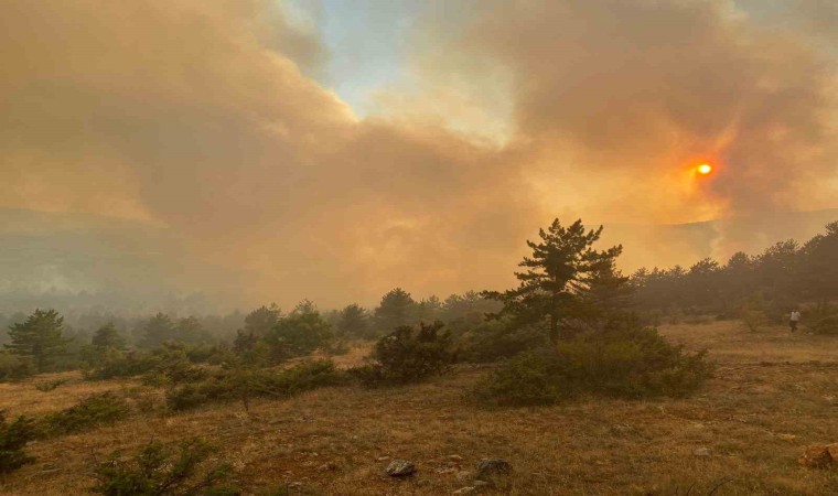 Çankırıdaki orman yangınına havadan ve karadan müdahale