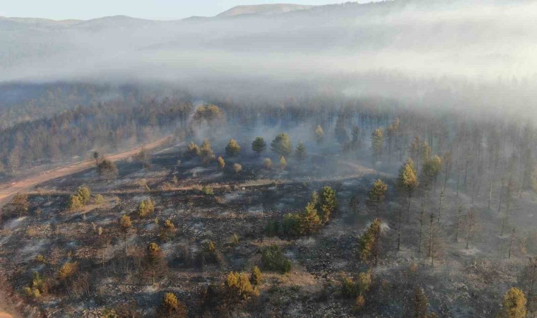 Çankırıdaki orman yangınına müdahale sürüyor: 44,17 hektar alan zarar gördü