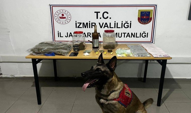 Çeşmede jandarmadan zehir tacirine şafak operasyonu