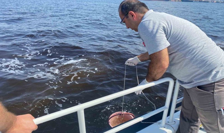 Çevre ve Şehircilik Bakanlığından İzmir Körfezindeki balık ölümlerine inceleme