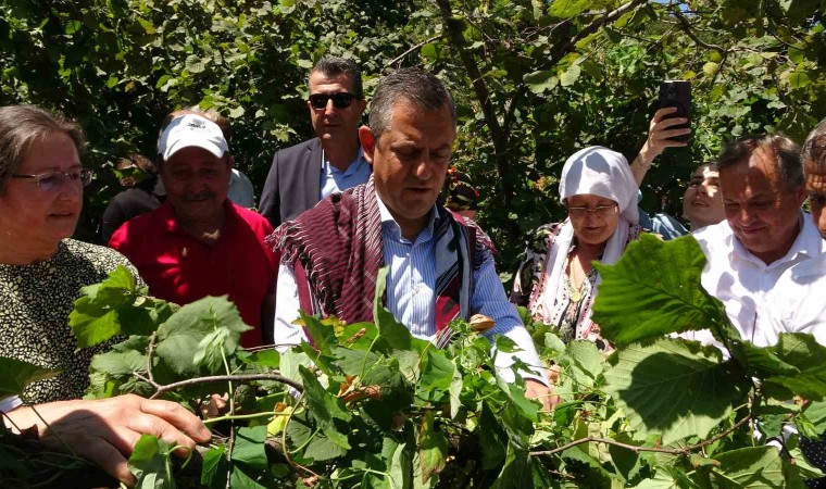 CHP Lideri Özelden fındık fiyatı eleştirisi: “Hızla revize edilmeli