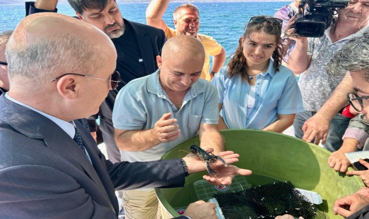 ÇOMÜnün Istakoz Yetiştirme Projesine YÖK Başkanından Destek