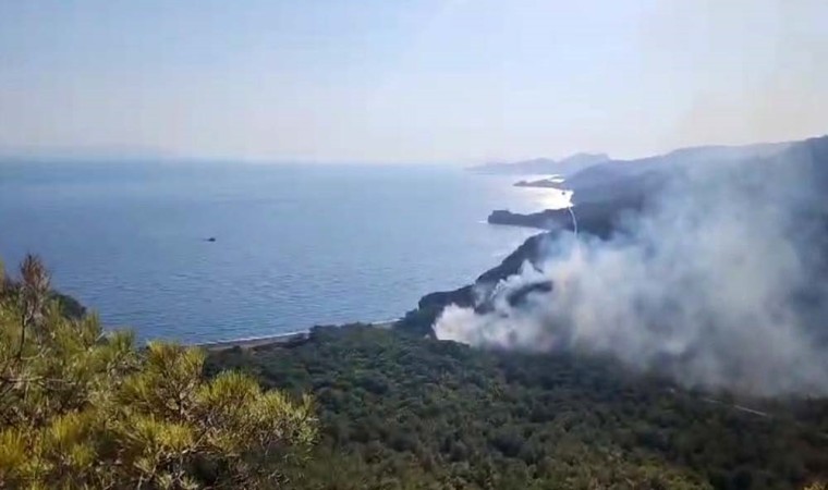 Datçadaki orman yangınıyla ilgili tutuklu sayısı 2ye yükseldi