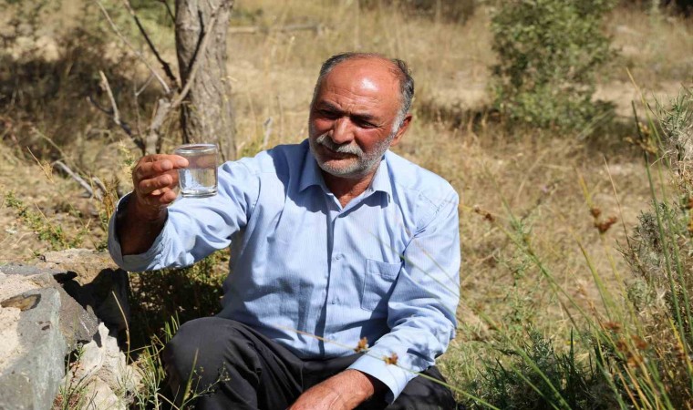 Dayanılmaz kokusuna rağmen şifa bulmak için kana kana içiyorlar