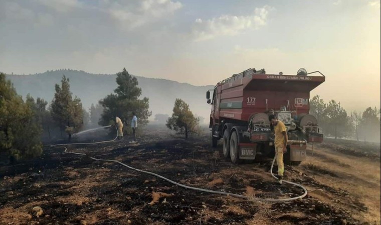 Denizlide orman yangınına müdahale ediliyor