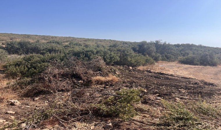 Didimde hazine arazisinde izinsiz yer açan şahıs jandarmaya takıldı