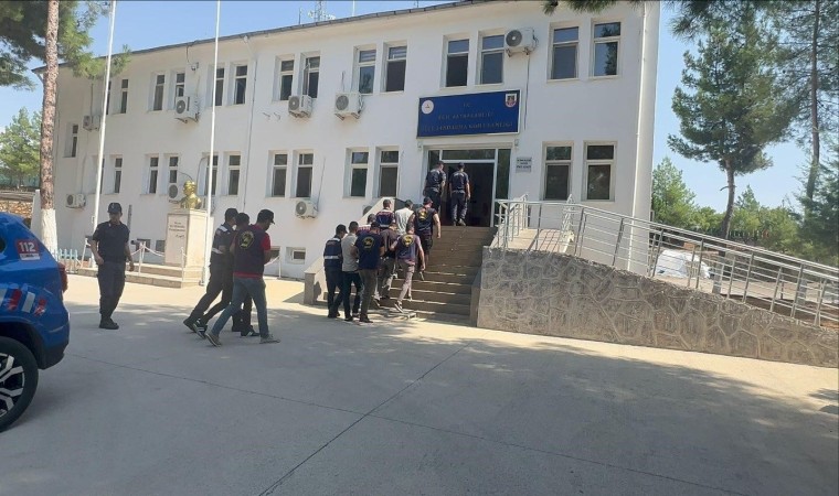 Diyarbakırda jandarma dedektifleri 8 inek çalan 4 şüpheliyi yakaladı