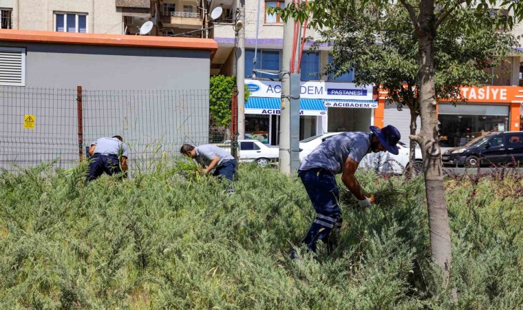 Diyarbakırda park ve bahçelerde temizlik çalışmaları