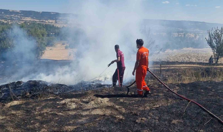 Domaniçte barakada çıkan yangın tarlalara sıçradı