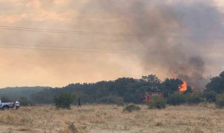 Edirnede orman yangını anızlık alana sıçradı: 2 baraka zarar gördü