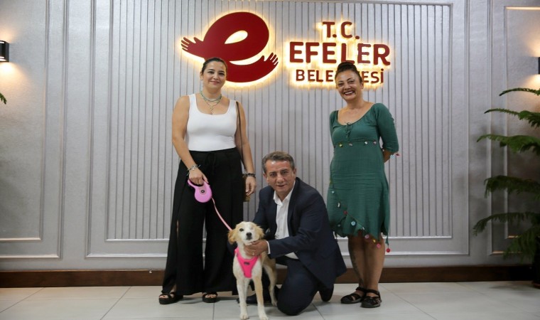 Efeler Belediye Başkanı Yetişkin: Efelerdeki her can güvende