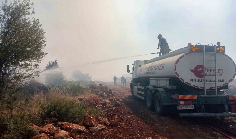 Efelerin ekipleri yangınları söndürmek için çalışıyor