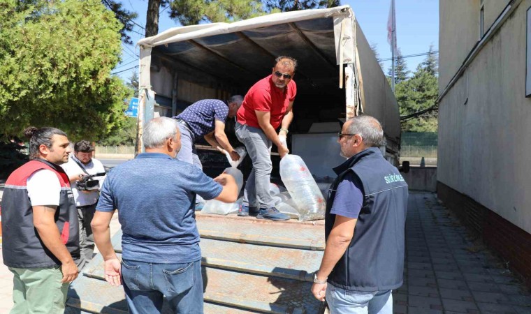 Eskişehir balıkçılığına önemli katkı